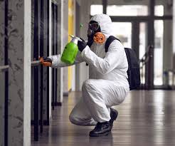 Best Comprehensive Air Testing for Mold Contaminants  in Wesley Chapel, FL